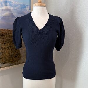 Ann Taylor Midnight Blue V-Neck Sweater